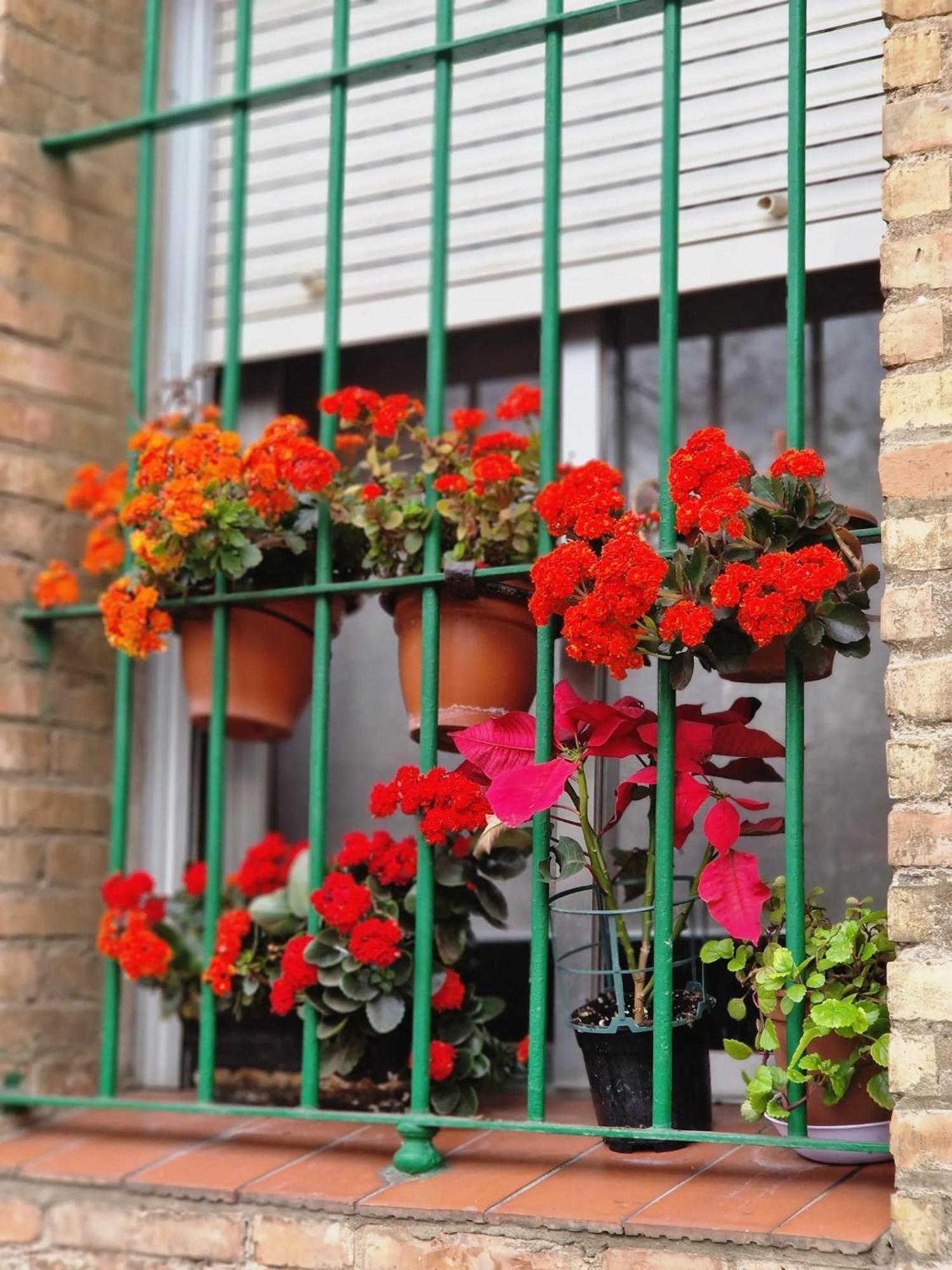 Apartamento Bright In With Private Garden