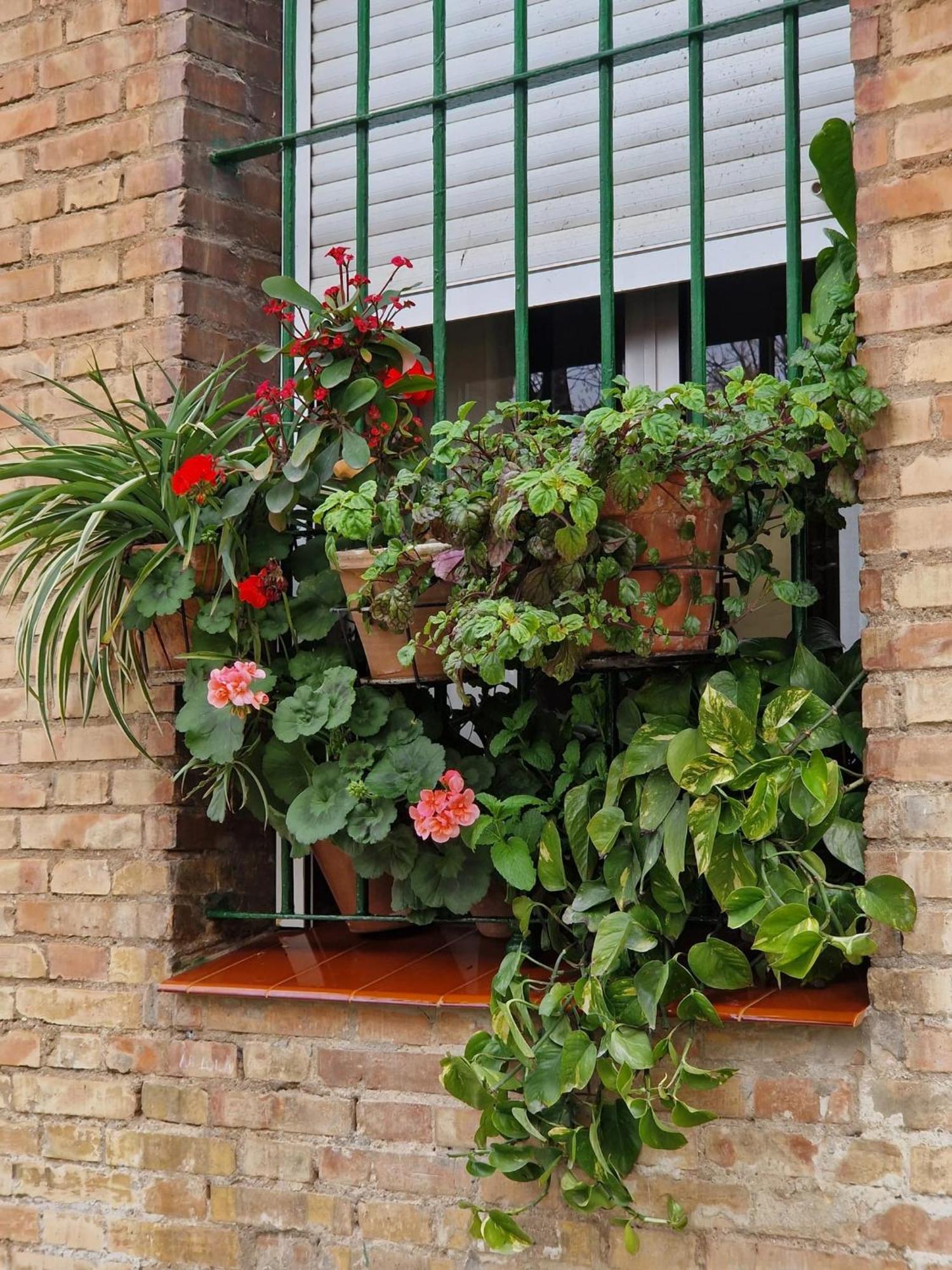 Apartamento Bright In With Private Garden